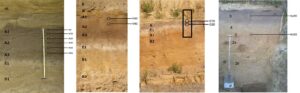 Fossil redox-conditions influence organic matter composition in loess paleosols