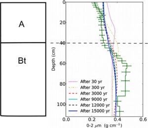 Quantification of vertical solid matter transfers in soils during pedogenesis by a multi-tracer approach