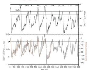 Interglacials of the last 800,000 years