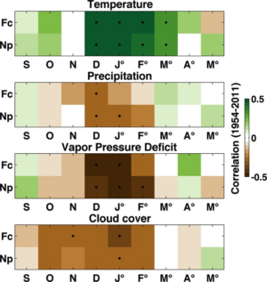 Improvement of isotope-based climate reconstructions in Patagonia through a better understanding of climate influences on isotopic fractionation in tree rings