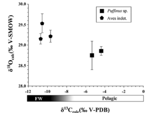 Oxygen isotope fractionation between bird eggshell calcite and body water: application to fossil eggs from Lanzarote (Canary Islands)